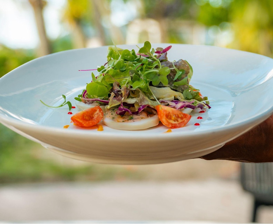 Salmon Roularde garnished on a whote plate