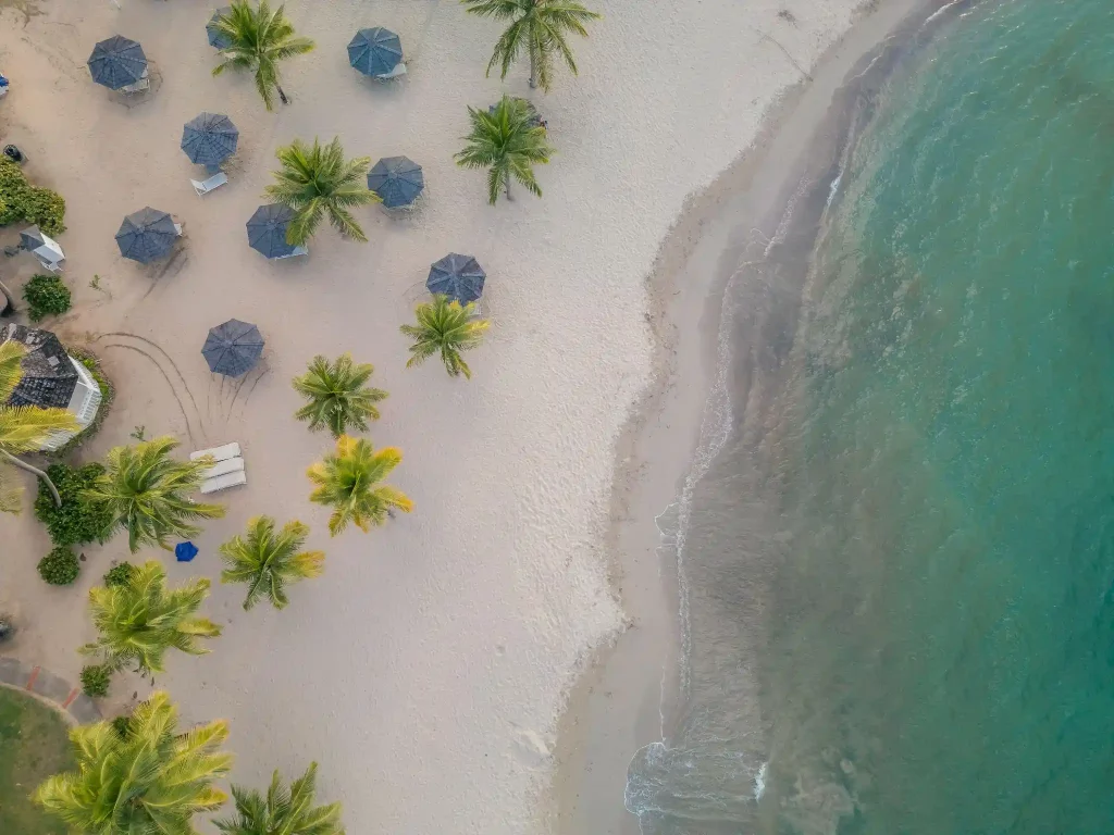 Your 2025 Guide to Exploring Saint Lucia’s Free Adventures